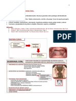 TEMA 3. AnatomÃ A Protã©tica