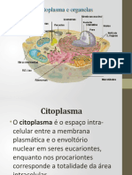Citoplasma, organelas e citoesqueleto