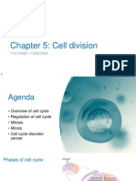 Cell Division