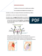 Investigación 