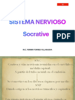 Sistema Nervioso 1 PDF