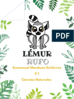 Lémur Rufo