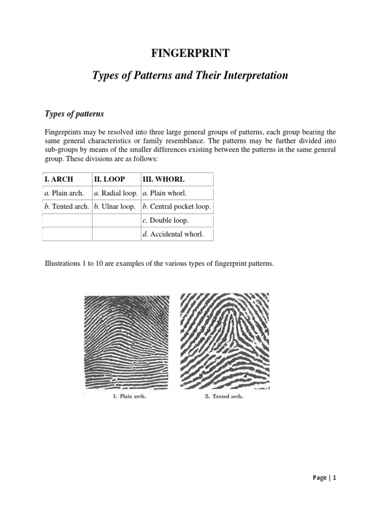 2types of Patterns. Core and Delta PDF | PDF | Fingerprint | Earth Sciences