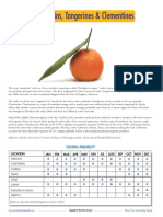1 Mandarin-Orange-Family PDF