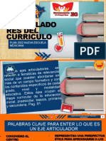 Ejes Articuladores Del Curriculo