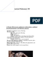 Practical of Respiratory System PDF