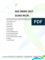 Thiage Enero 2017 PDF