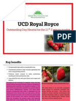 royal-royce-brochure (1)