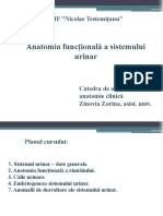 Anatomia funcțională a sistemului urinar.pdf