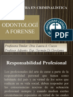 Responsabilidad Profesional O Forense 2022