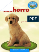 Leccion 3 El Cachorro