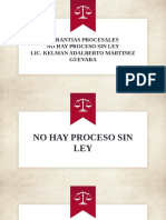 Garantias Procesales No Hay Proceso Sin Ley