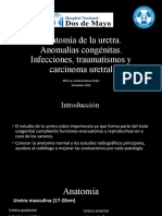 Anatomia Radiologica de Uretra