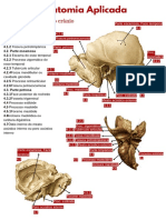 Anatomia do osso temporal
