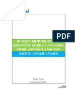 FC-SIG-282 Informe Mensual SSOMAC - DICIEMBRE