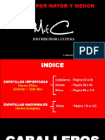 Vendedor - Zapatilla Exitosa PDF