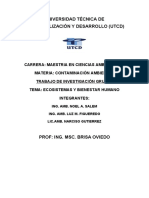 Contaminación Ambiental TRABAJO GRUPAL-1