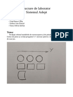 Sistemul Adept - Odt