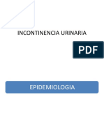 Incontinencia urinaria: epidemiología, etiología, evaluación y tratamiento