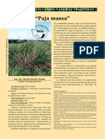 "Paja Mansa": Circulo Campo Natural - Pasturas