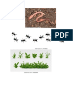 figuras de ecosistema eli