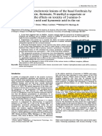 Winn Et Al 1991 (A Comparison of Excitotoxic Lesions of The Bassal Forebrain)