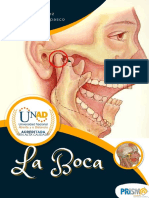 La Boca Perez Tapasco