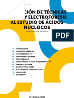 Aplicación de Técnicas de PCR y Electroforesis-Presentación PDF