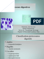 Protozoaires Digestives