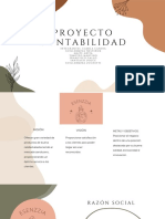 Proyecto Contabilidad PDF