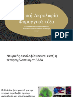 Νευρική ακρολοφία Φαρυγγικά τόξα-2022 - Koutlas PDF