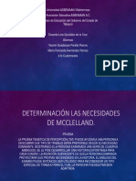 Equipo Determinación Las Necesidades de Mcclelland, Yasmin y Fernanda