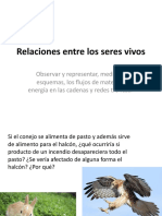 Relaciones Entre Los Seres Vivos