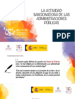 Actividad Sancionadora PDF