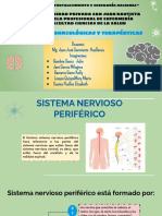 Sistema Nervioso C. Grupo 4 PDF
