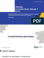 Lineamientos Generales PDF