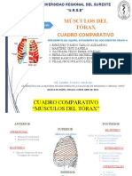 Cuadro Comparativo - Músculos Del Tórax - Anatomía