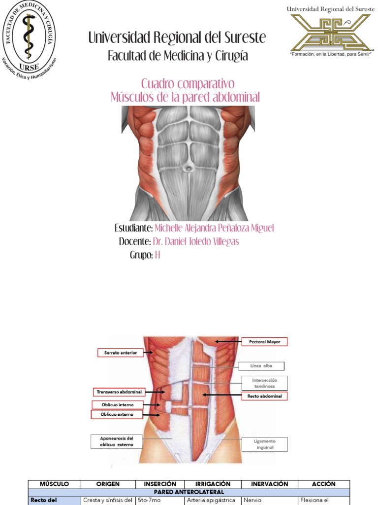 No le tengas miedo al cordón umbilical #cordonumbilical #bebe  #mamasdetiktok #pediatria #culiacan, image size:768x1024