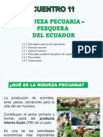 Encuentro 11 Riqueza Pecuaria PDF