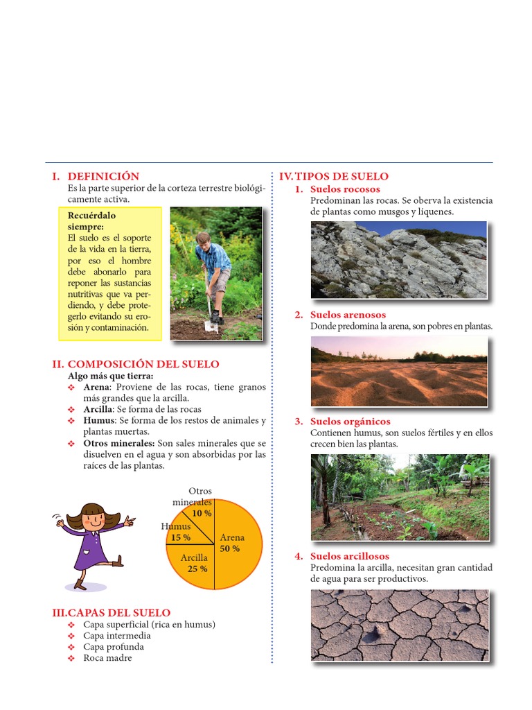 Los Suelos para Cuarto de Primaria 1 | PDF | Suelo | Ciencias de la Tierra