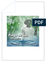 Pingo de Luz Maria Amaziles em PDF