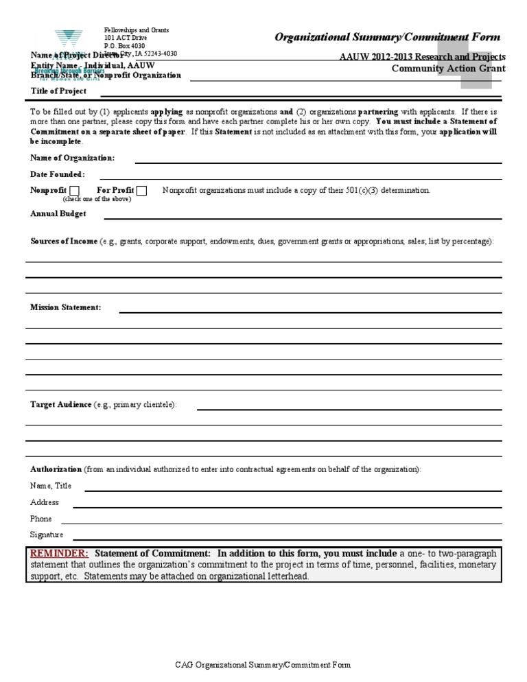 AAUW Community Action Grant Form | PDF | Career & Growth