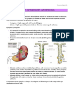 Clase 1 - Introduccion A La Histología