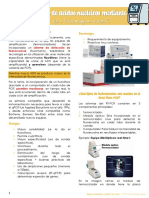 PCR en Tiempo Real PDF