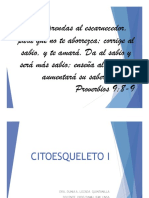 Citoesqueleto I