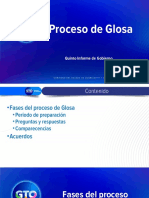 Presentación Mecánica de Proceso de Glosa