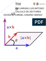 actividad 1 calculo de vectores