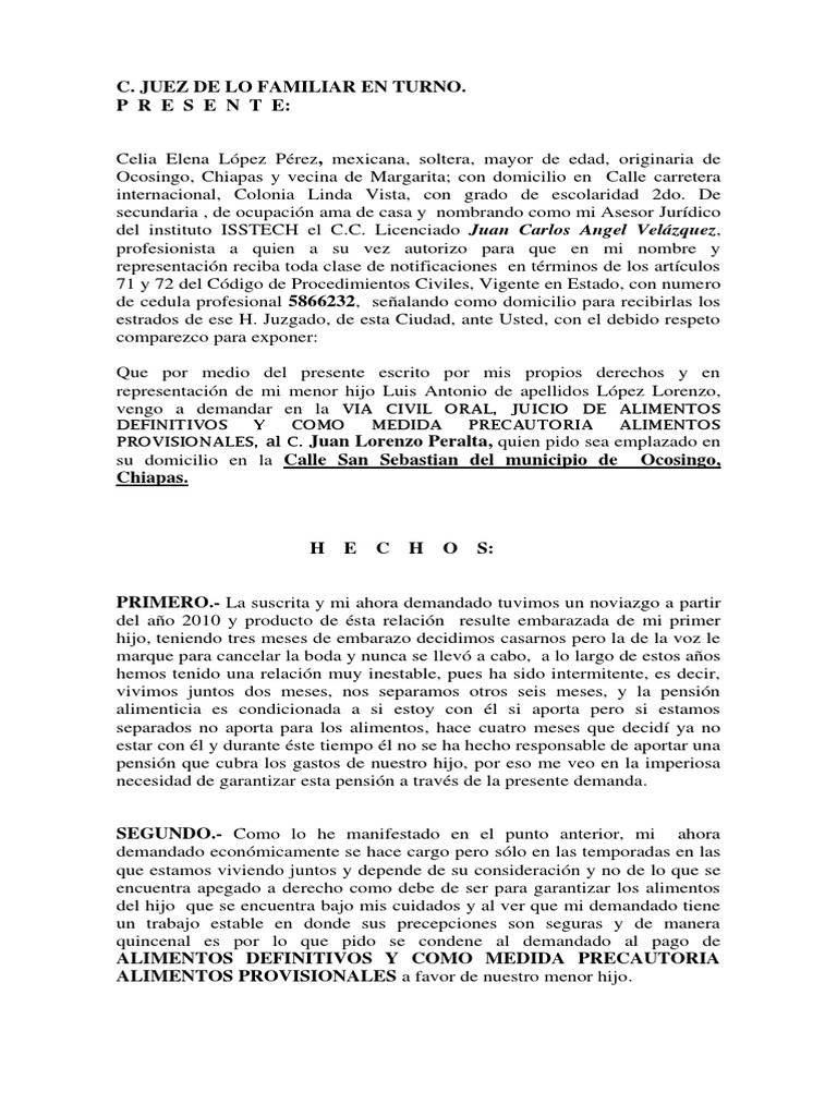 Formato para Juicio de Alimentos 222222 | PDF | Pensión | Pensión
