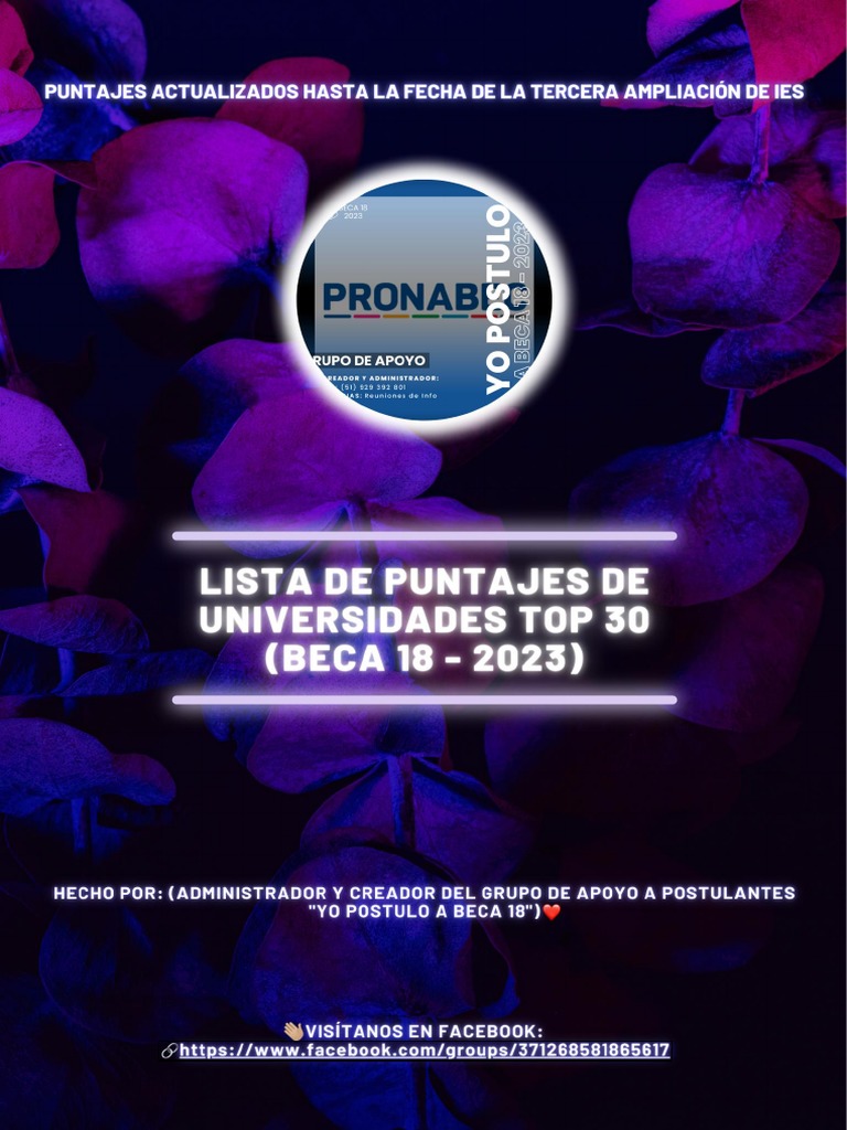 Puntajes Beca 18: Top Universidades Perú | PDF | Ingeniería | Ciencias ...