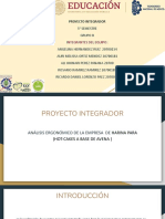 Proyecto Integrador - Eq 1 PDF